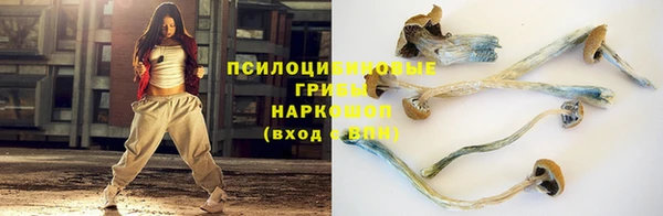 таблы Богородск