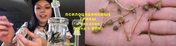 амф Богородицк