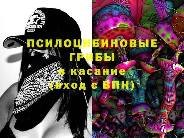 стаф Богданович