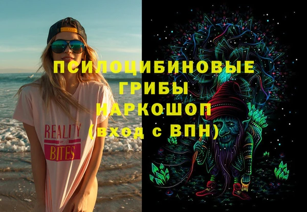 стаф Богданович