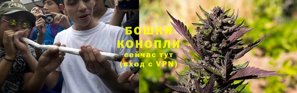 стаф Богданович