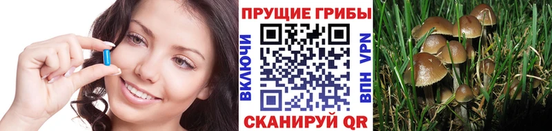 Купить закладки  Чердынь  Галлюциногенные грибы мухоморы 